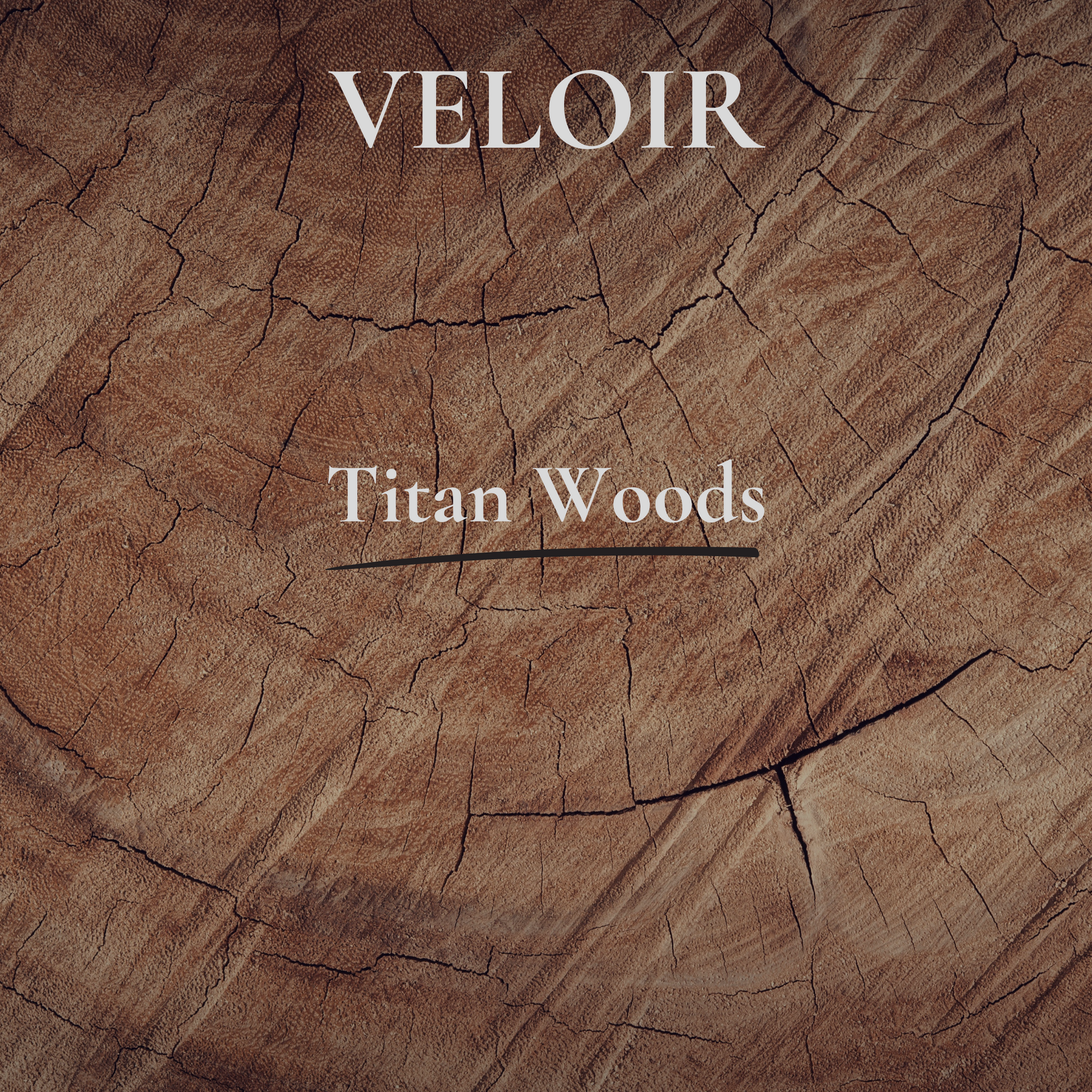 VELOIR Titan Woods Eau de Parfum 50ml Herrenduft – holzig, frisch, luxuriös
